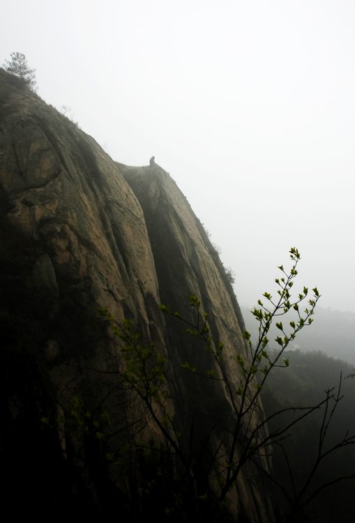 _mg_3638.jpg