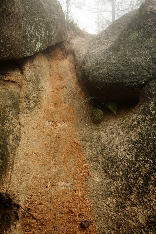 _mg_3658.jpg