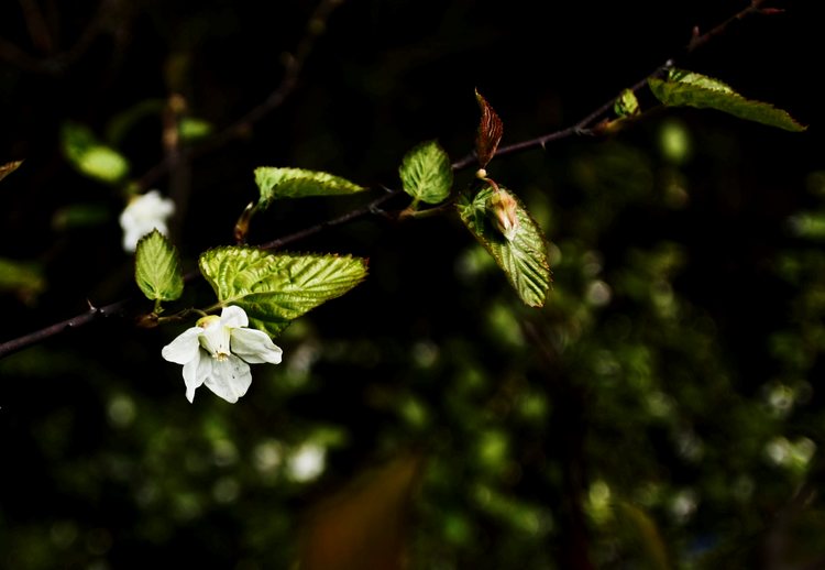 _mg_3672.jpg
