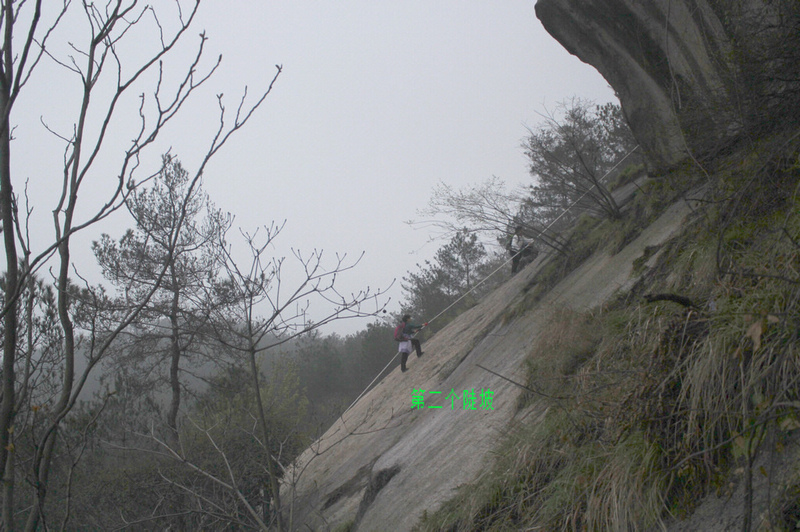 neo_img_img_5604.jpg