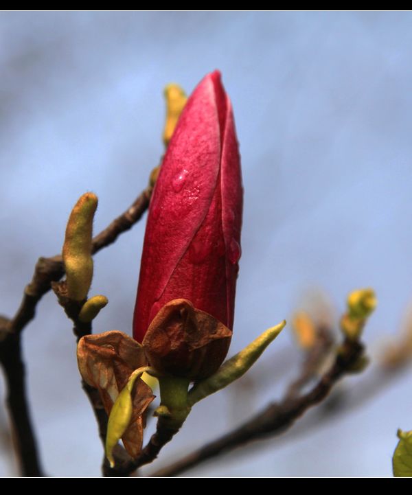 img_8056.jpg