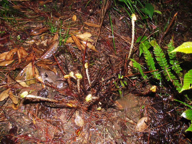dscf8122.jpg
