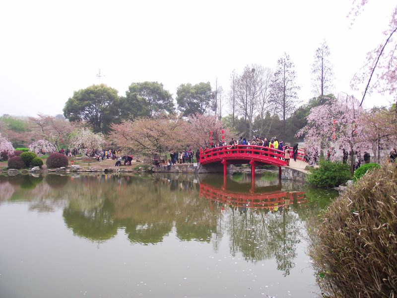 dscf8009.jpg