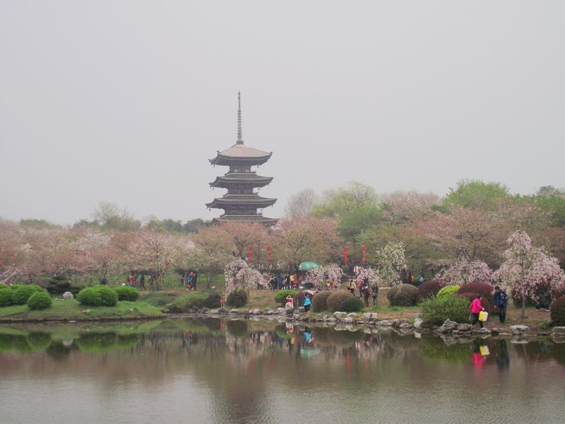 dscf8002.jpg
