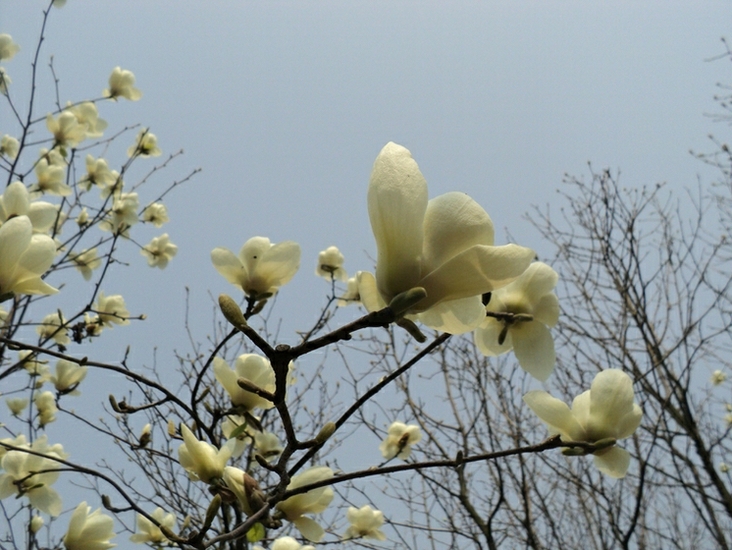 dsc05316.jpg