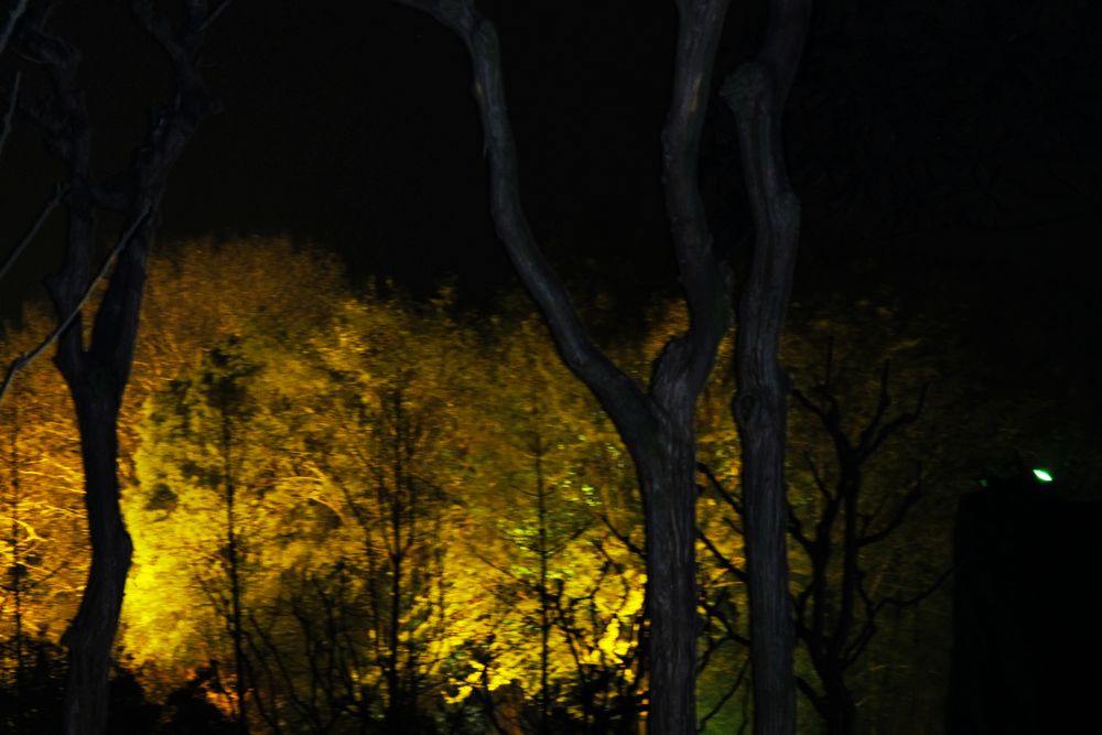 img_4664.jpg