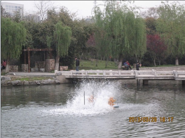 009.jpg