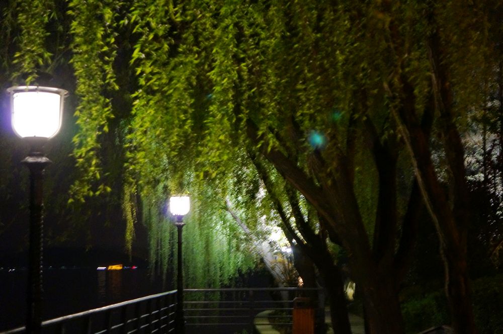 dsc00237.jpg