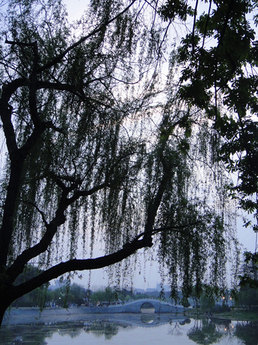dsc09129_.jpg