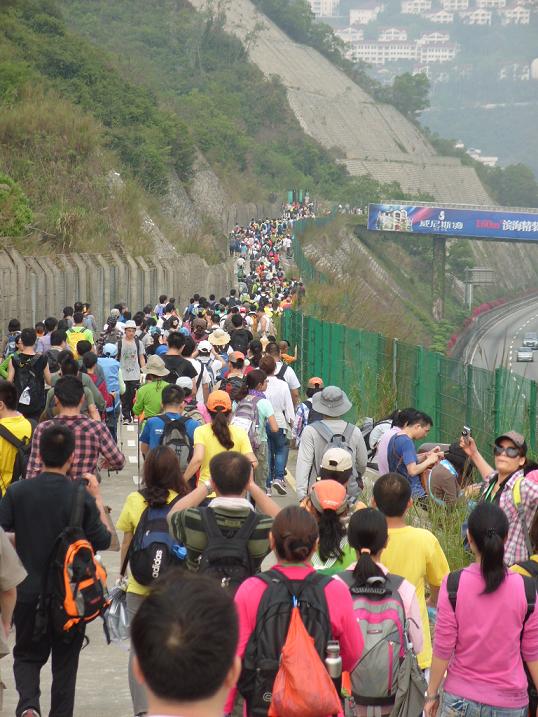 s1054561.jpg