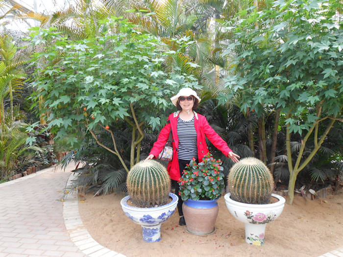 dscn0290.jpg