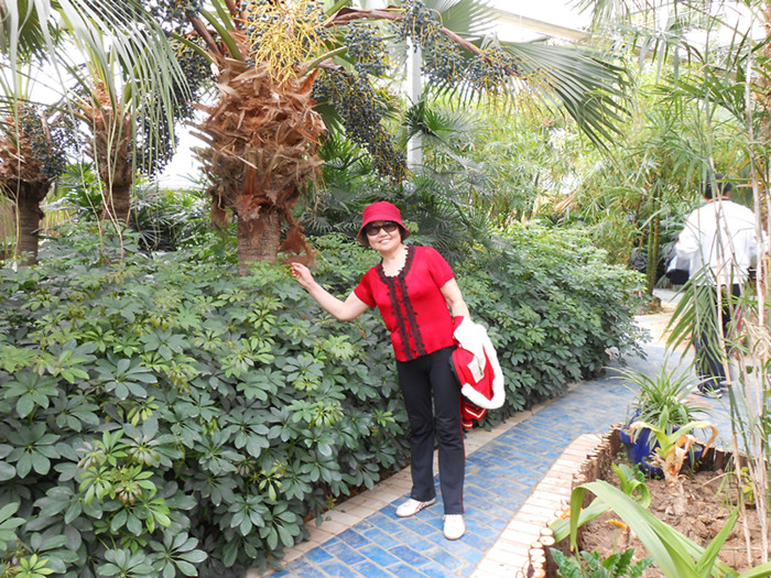 dscn0302.jpg