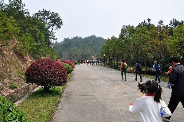 dsc_0003.jpg
