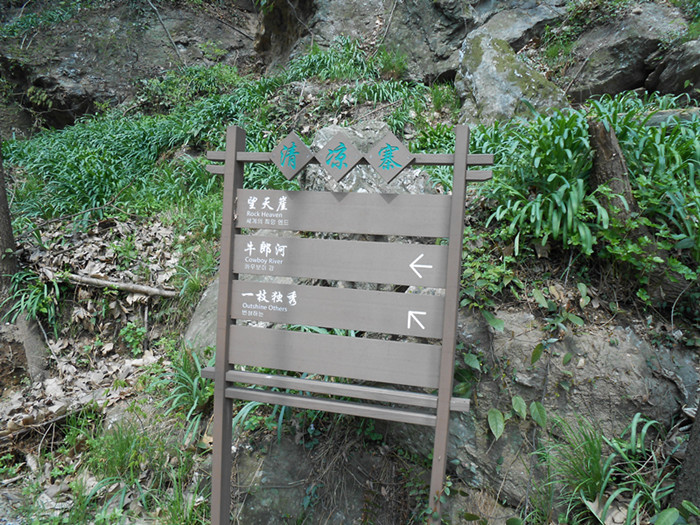dscn0339.jpg
