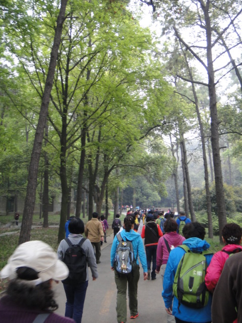 dsc09184.jpg