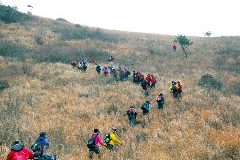 _mg_7896.jpg
