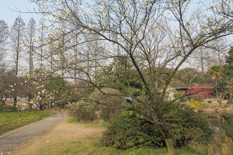 2013ͽ÷ 001.jpg