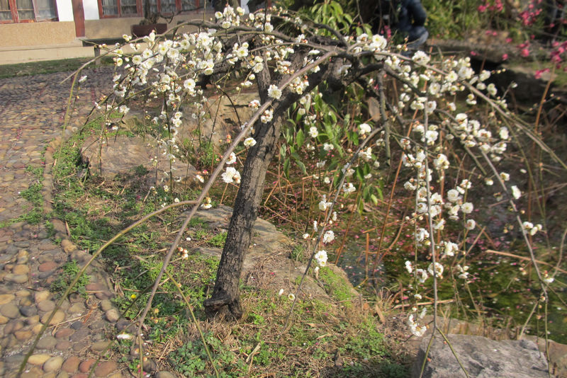 2013ͽ÷ 026.jpg