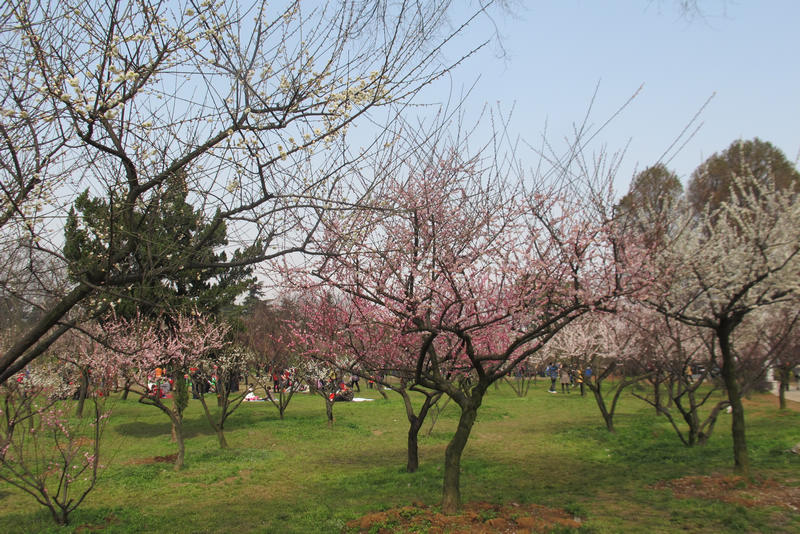 2013ͽ÷ 046.jpg
