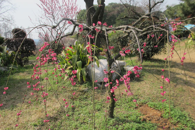 2013ͽ÷ 049.jpg
