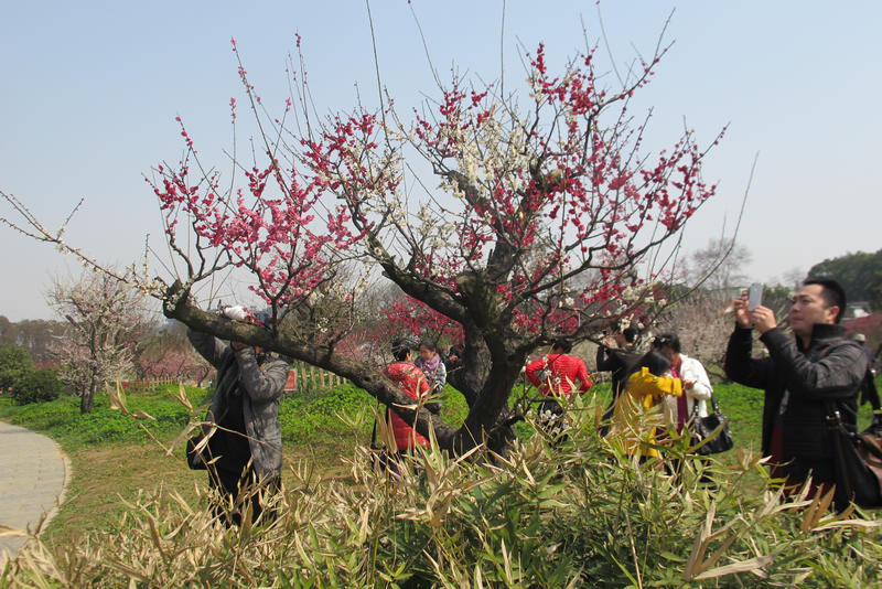 2013ͽ÷ 058.jpg