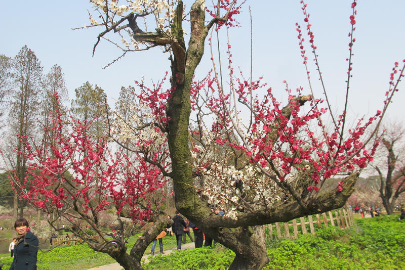 2013ͽ÷ 060.jpg