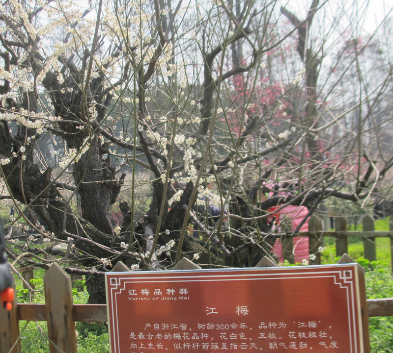 2013ͽ÷ 063.jpg