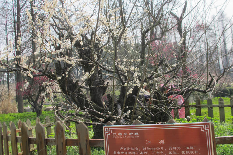 2013ͽ÷ 064.jpg
