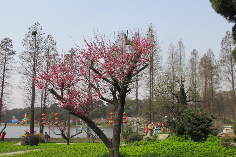 2013ͽ÷ 065.jpg