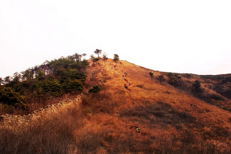 _mg_8068.jpg