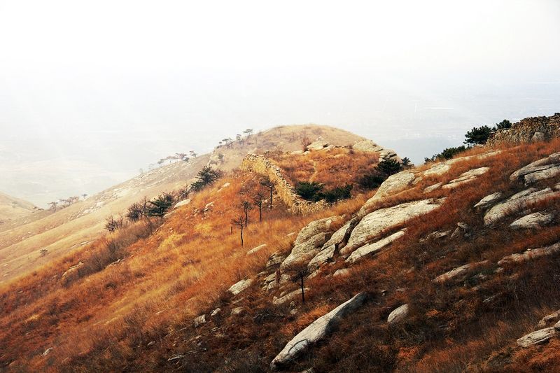 _mg_8083.jpg