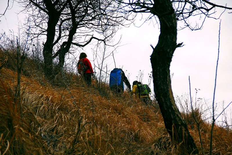 _mg_8094.jpg