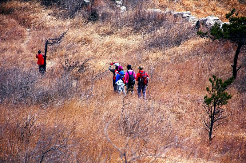 _mg_7995.jpg