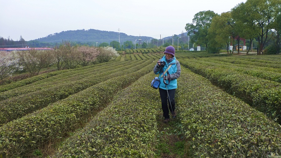 p1110659.jpg