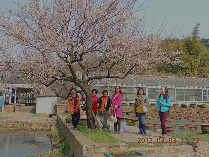 dscn2863_.jpg