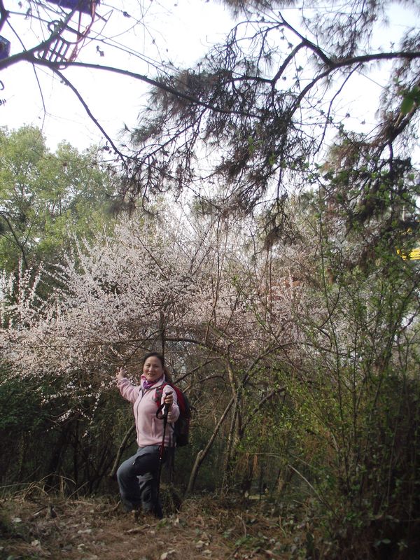 dscf8021.jpg