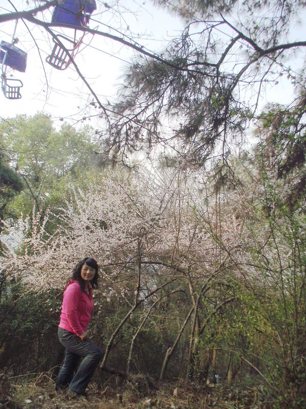 dscf8023.jpg