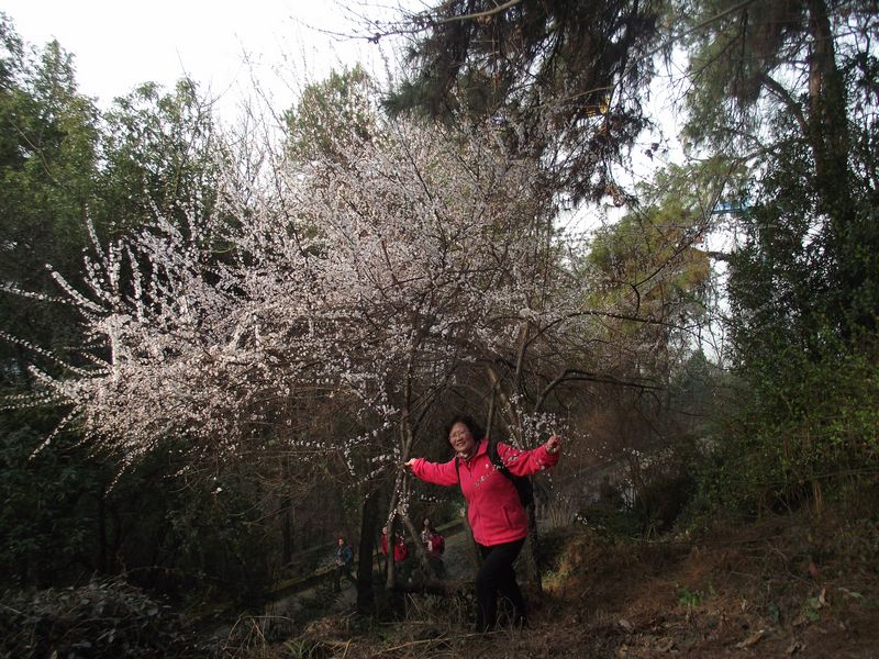 dscf8026.jpg