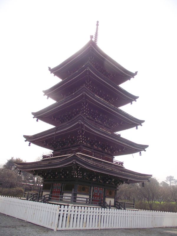 dscf8151.jpg