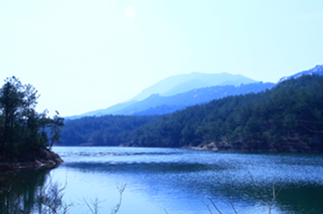 _mg_4798.jpg