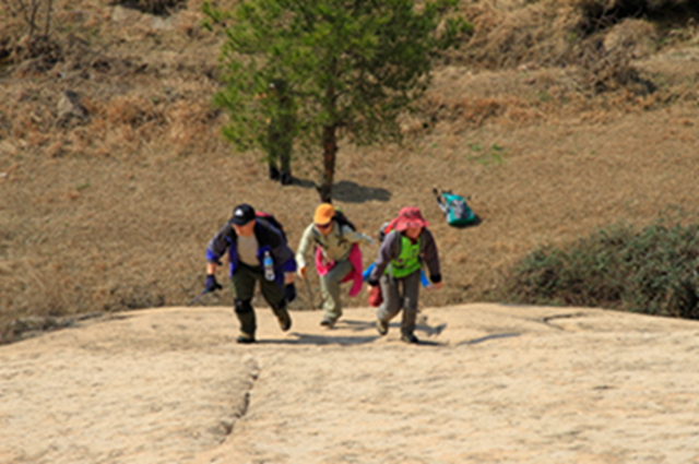 _mg_4829.jpg