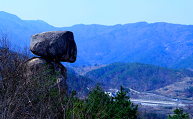 _mg_4692.jpg