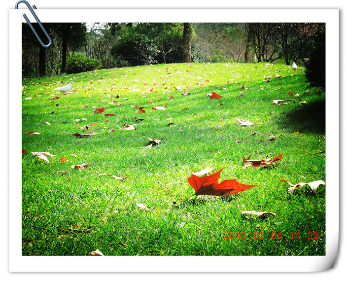 dscn3243_.jpg