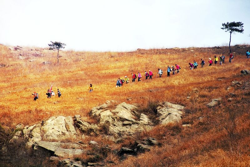 _mg_8394.jpg