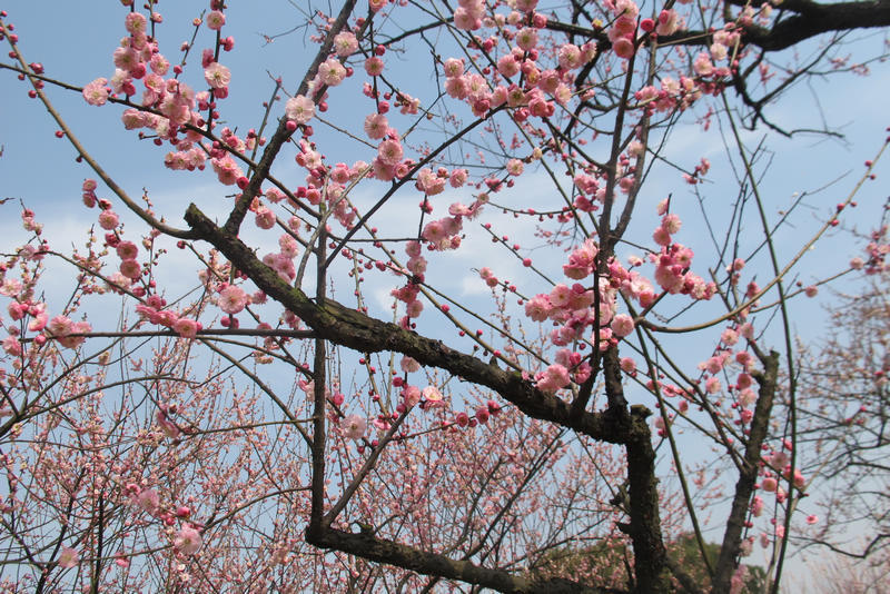 2013ͽ÷ 033.jpg