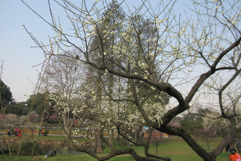 2013ͽ÷ 045.jpg