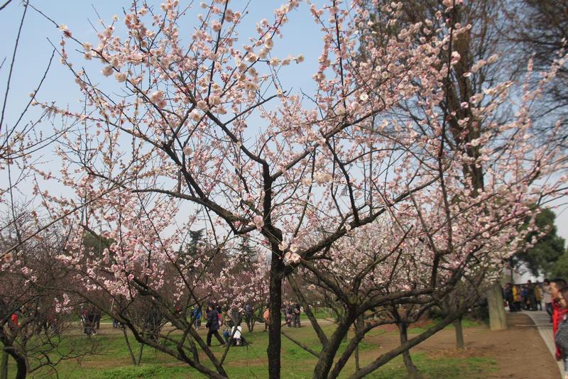 2013ͽ÷ 047.jpg
