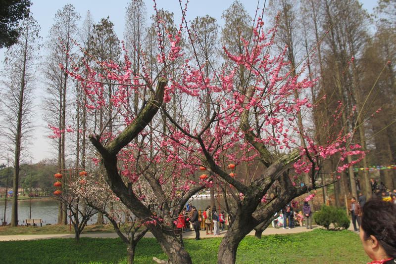 2013ͽ÷ 057.jpg