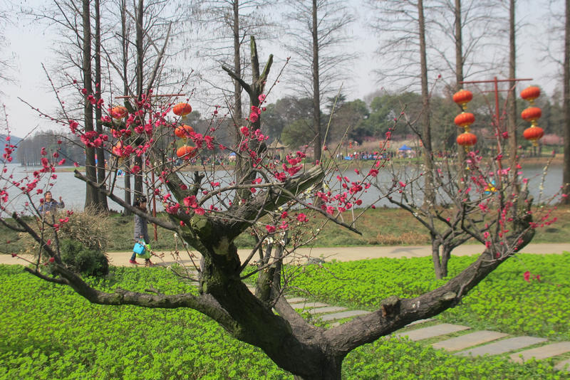 2013ͽ÷ 067.jpg