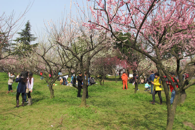 2013ͽ÷ 072.jpg